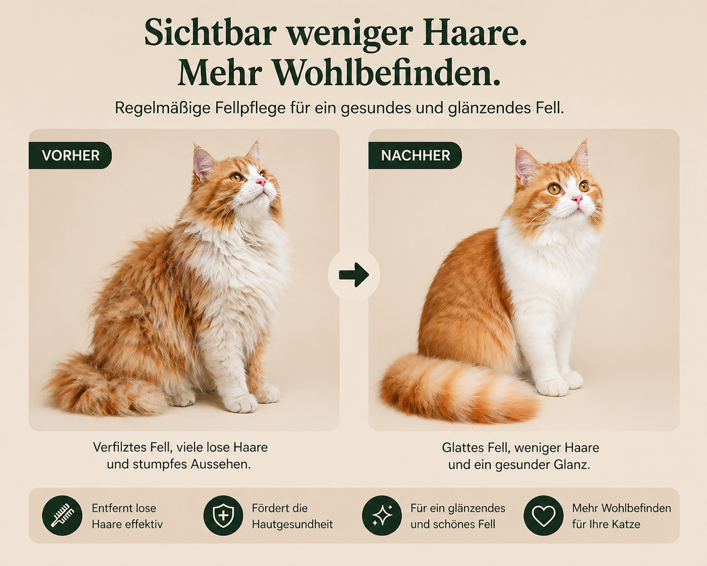 Tatzenwunder™ Fellbürste für Hunde & Katze
